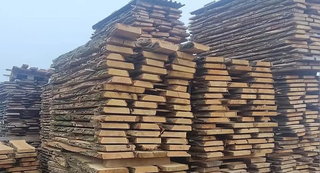 Akátové dřevo: vlastnosti a charakteristika pro náročné venkovní i interiérové použití