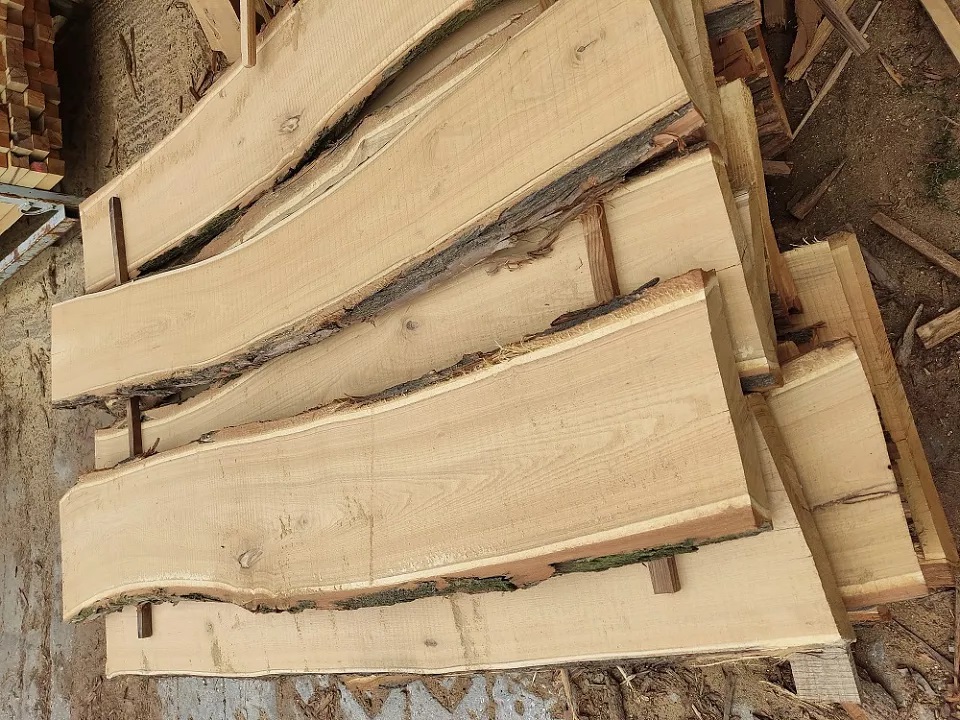 Je akátové dřevo jedovaté? Nebo je to mýtus?