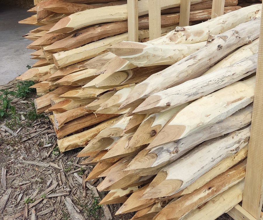 Tvrdost akátového dřeva: jak je na tom v porovnání s jiným dřevem?