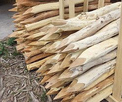 Tvrdost akátového dřeva: jak je na tom v porovnání s jiným dřevem?