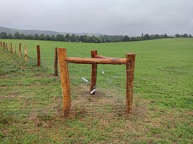 Péče o akátové dřevo: jak ho správně čistit, olejovat a chránit?