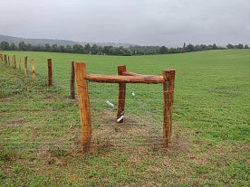 Jak postavit plot z akátových kůlů: návod krok za krokem