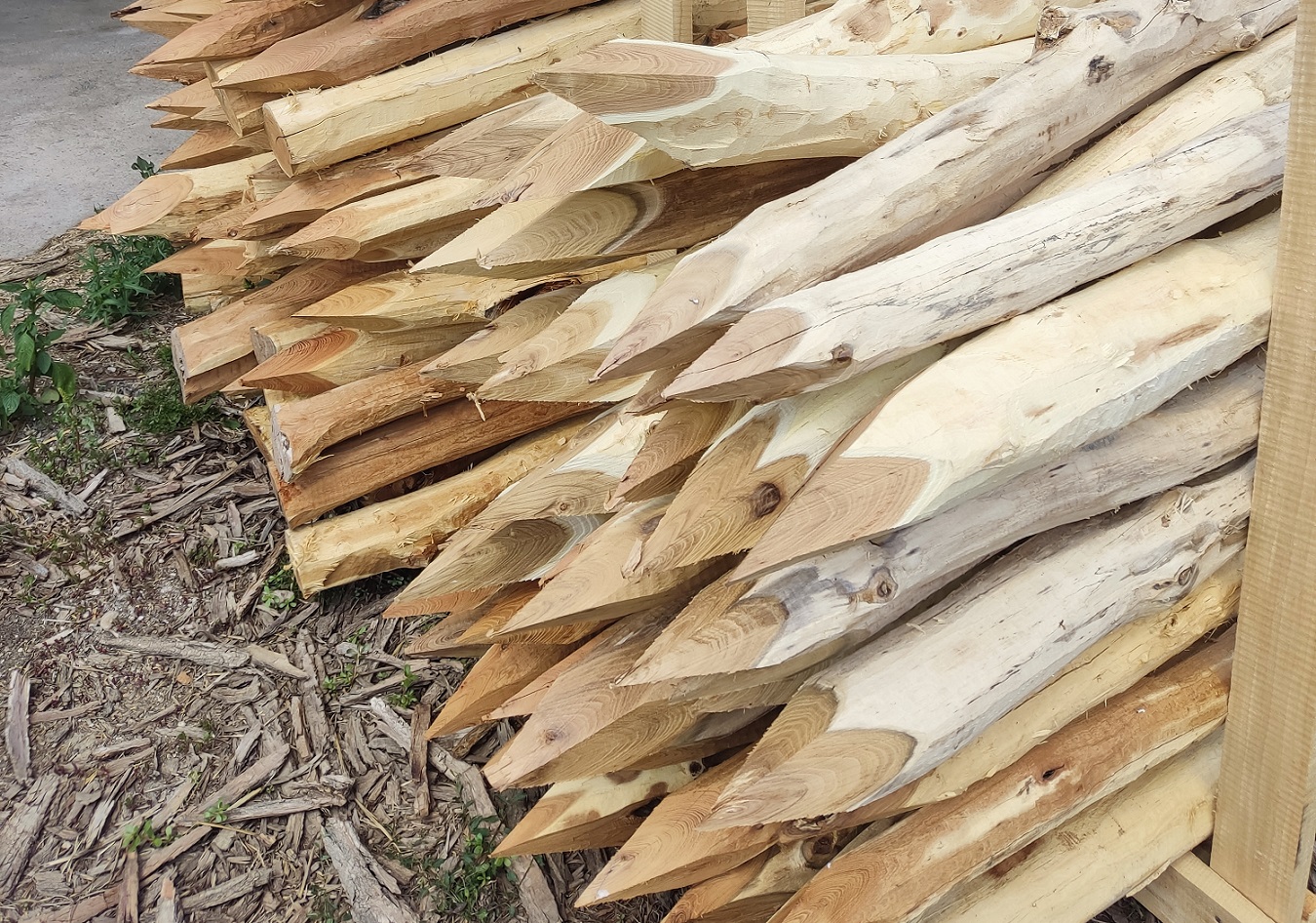 Štípané akátové kůly