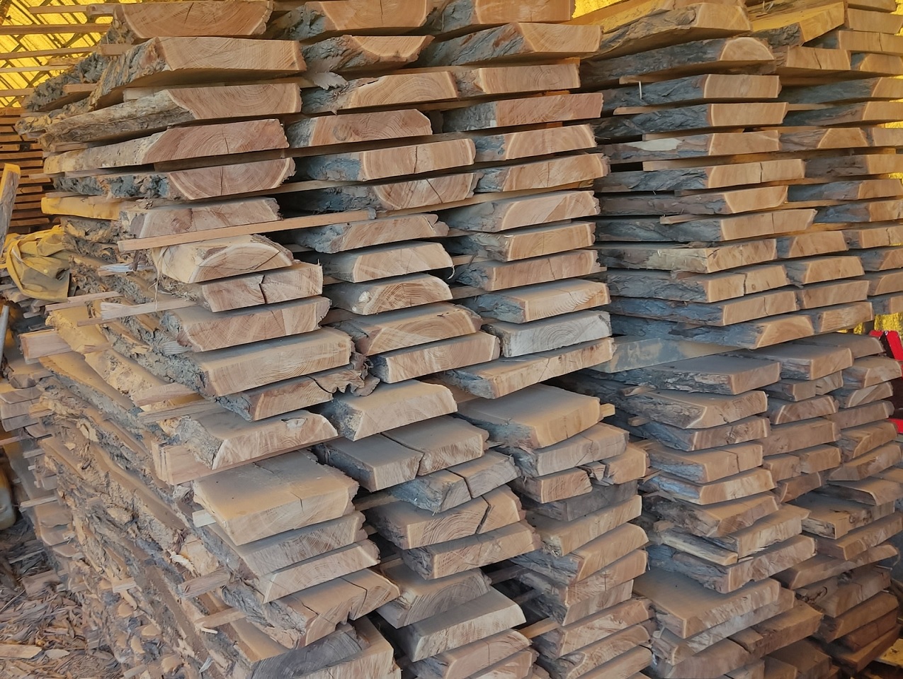 Akátová prkna – odolné dřevo pro exteriér i interiér