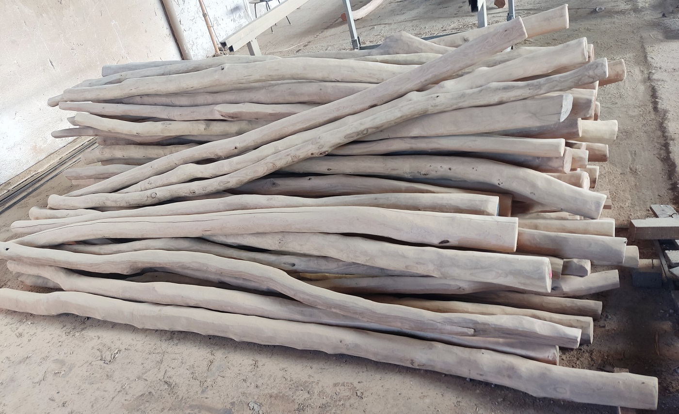 Akátová kulatina – extrémně odolné dřevo pro náročné použití